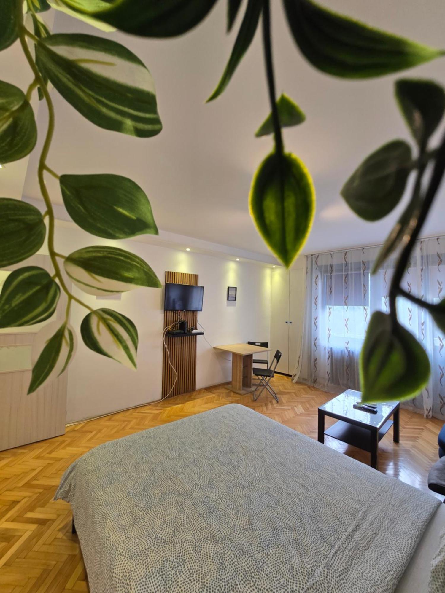 Azzurro Studio Apartment เบลเกรด ภายนอก รูปภาพ