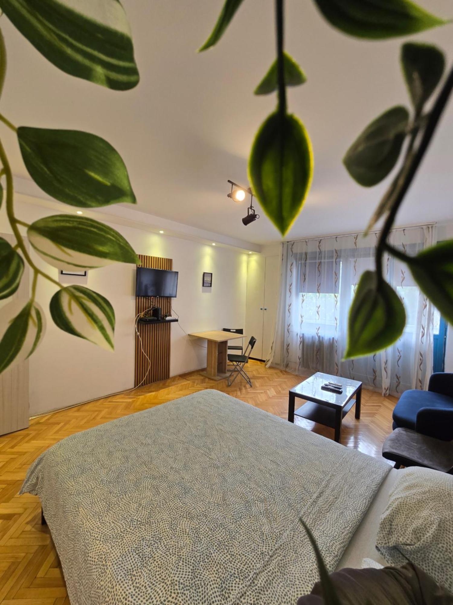 Azzurro Studio Apartment เบลเกรด ภายนอก รูปภาพ